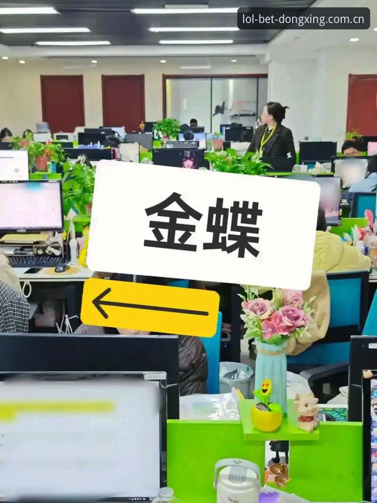 从一头雾水到顺手操作：我整理了一份LOL竞猜中心官网直接装的使用心得